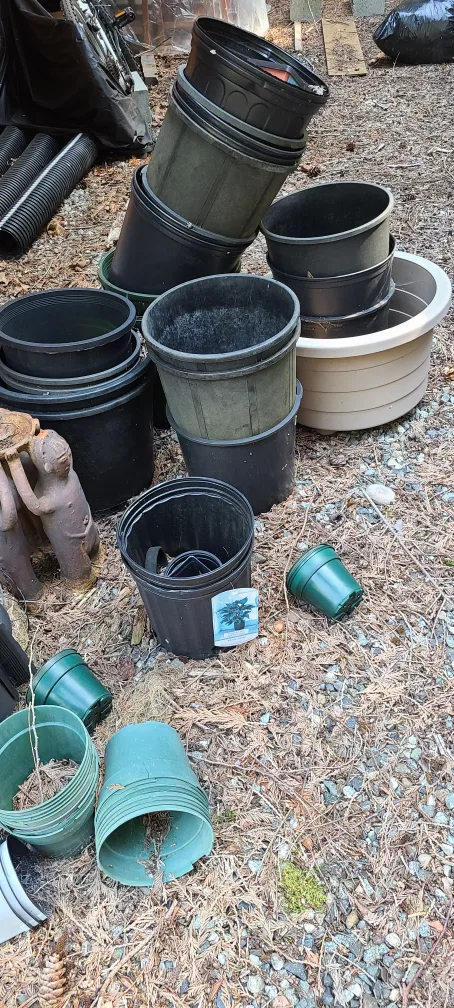 Assorted Black & Green Plastic Plant Pots