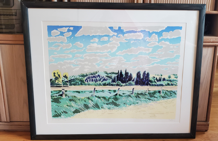 🎨 Limited Edition Framed Art Print 🧡 Signed & Numbered (44/250)