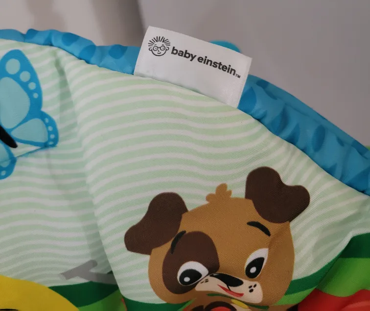 Baby Einstein Activity Jumper-Special Edition NeighborhoodFriend image indicator(5)