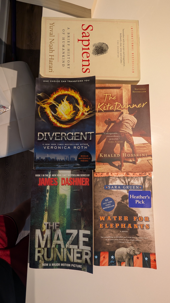 Lot of books: Sapiens, Divergent, Kite Runner...