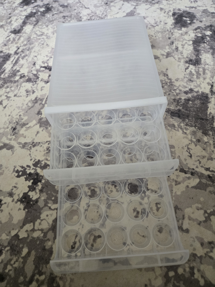 Clear Plastic Storage Egg Container