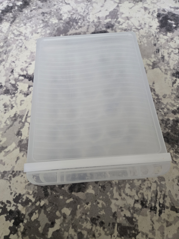 Clear Plastic Storage Egg Container - photo 3