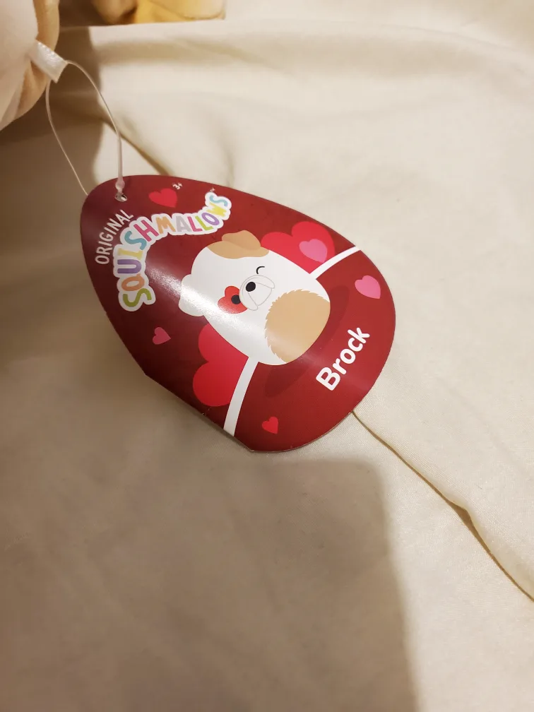 Cute "Brock" dog squishmallow image indicator(3)