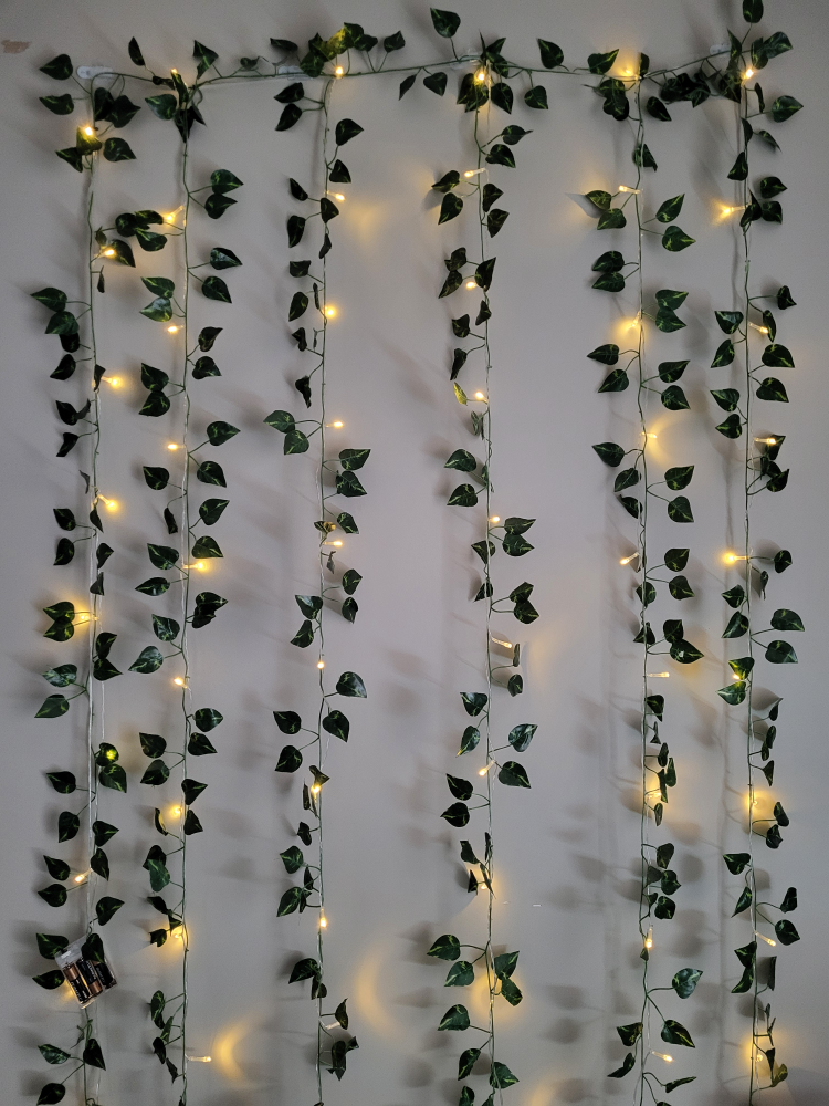 vines with lights