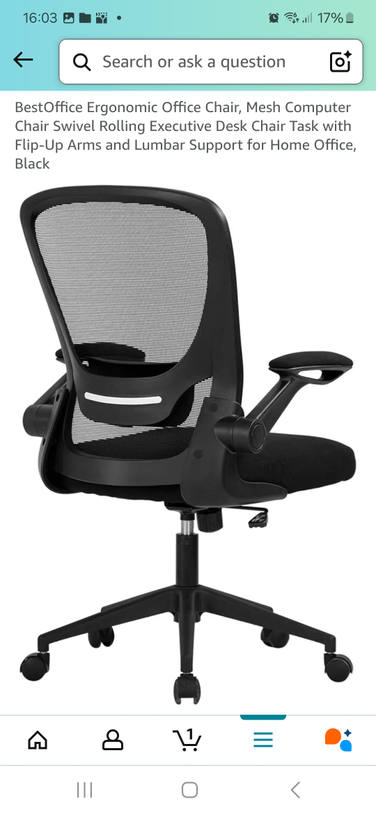 Ergonomic Mesh Office Chair - Black - photo 3
