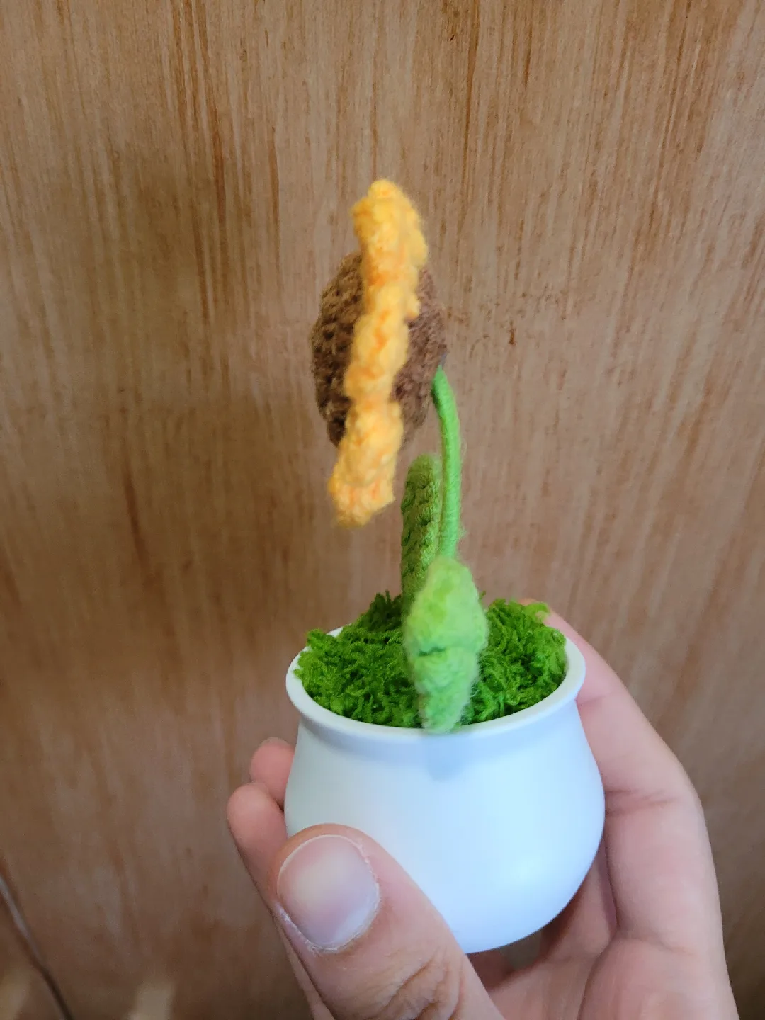 Crocheted Sunflower in White Pot image indicator(7)