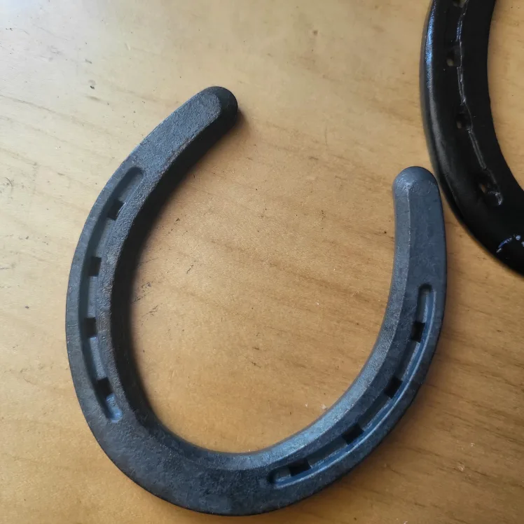 Horseshoes image indicator(2)