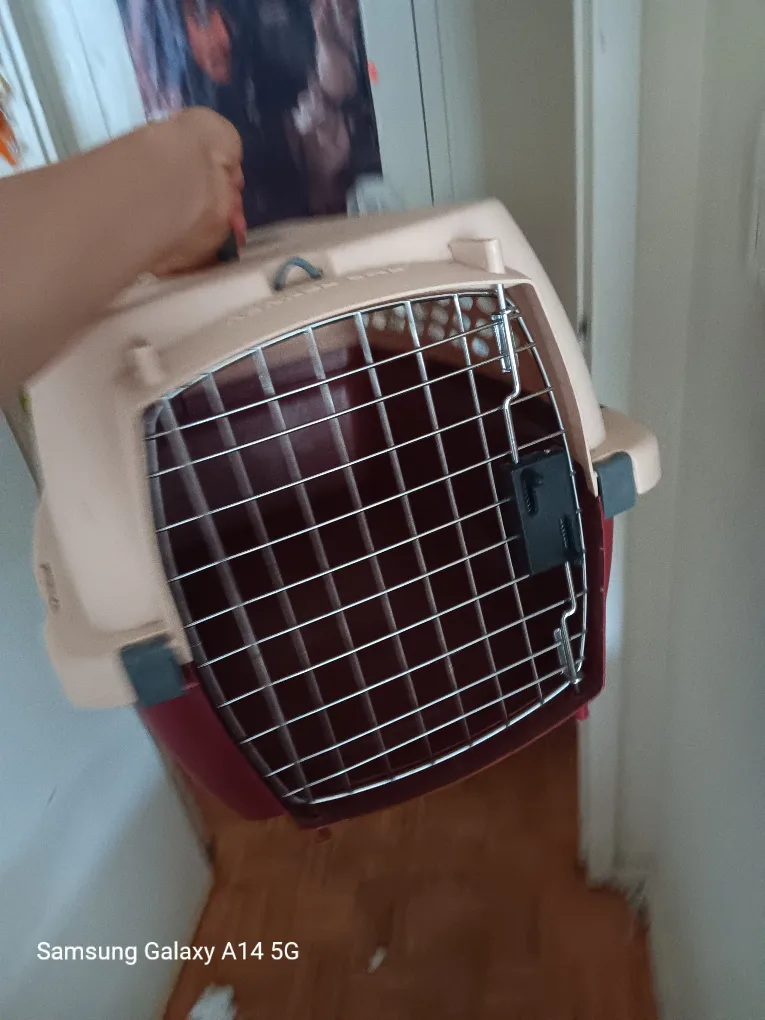 Pet Carrier thumbnail