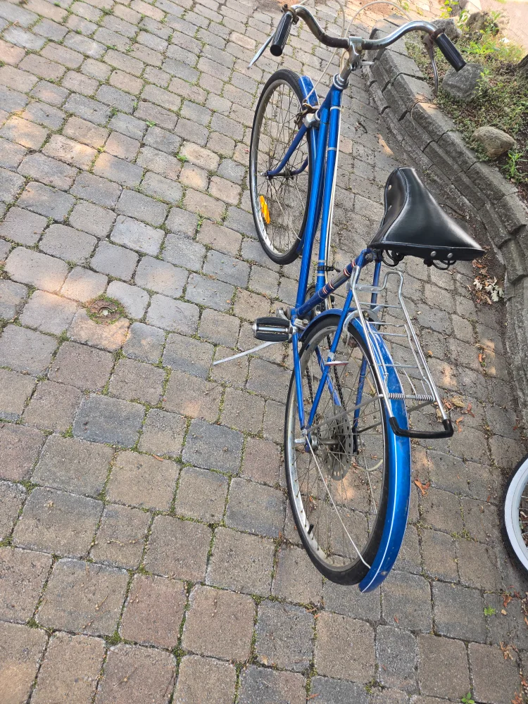 classic bicycle in excellent condition $169 lisgar Miss image indicator(3)
