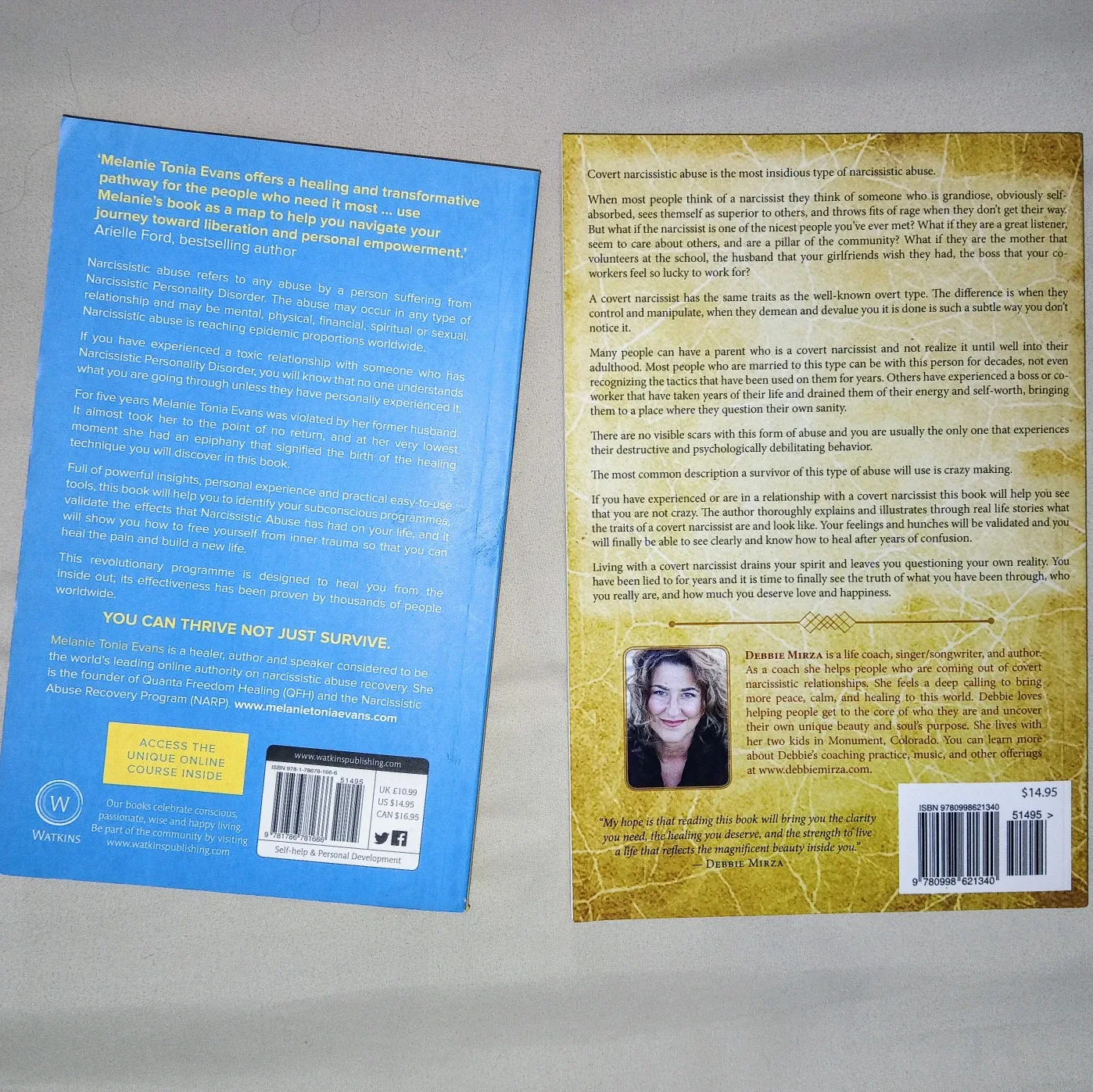 2 Books: Narcissistic Abuse & Passive Aggressive Narcissist image indicator(2)