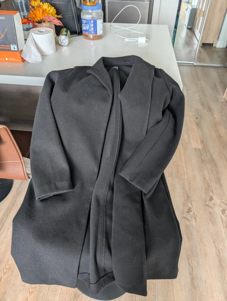 Zara Long Black Coat thumbnail
