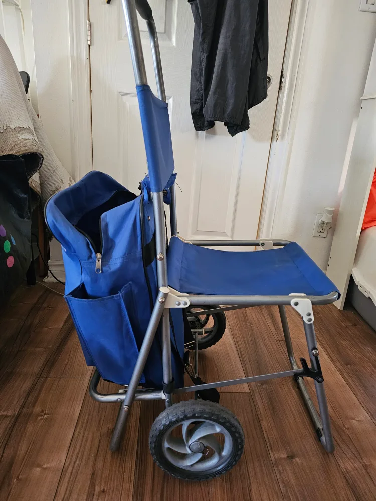 Vida Mia mi salud Blue Shopping Cart image indicator(3)