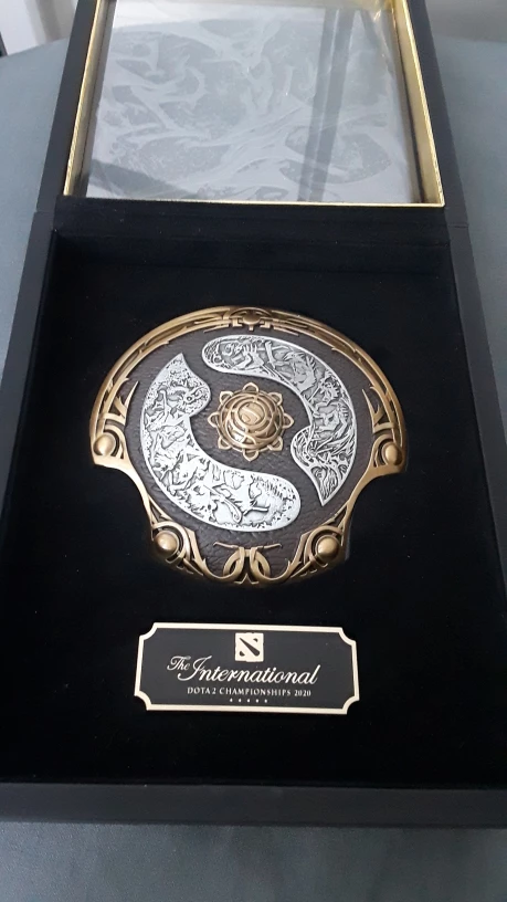 DOTA 2 The International Aegis of Champions 2020 - photo 5