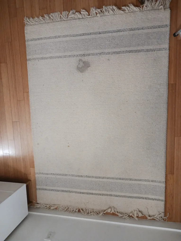 Area Rug w/ Fringe – Beige w/ Gray Stripes (Needs Cleaning) image indicator(7)