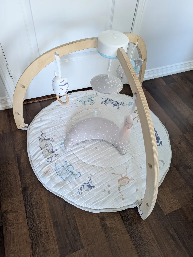 Aden + Anais Baby Play Activity Gym Mat image indicator(2)