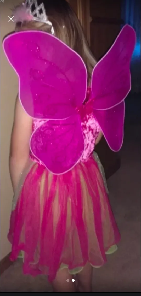 Girl's Fairy Princess Costume with Wings image indicator(2)