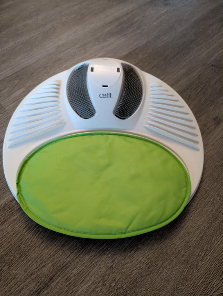 cat toy