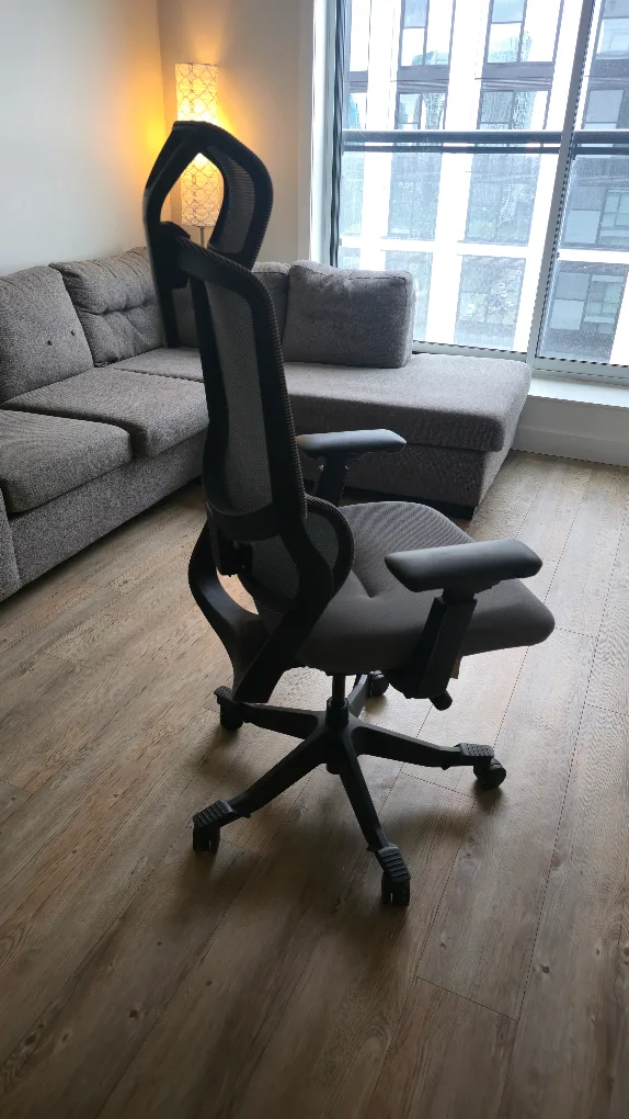 FlexiSpot Ergonomic Office Chair Mesh Chair 3D Lumbar Support image indicator(3)