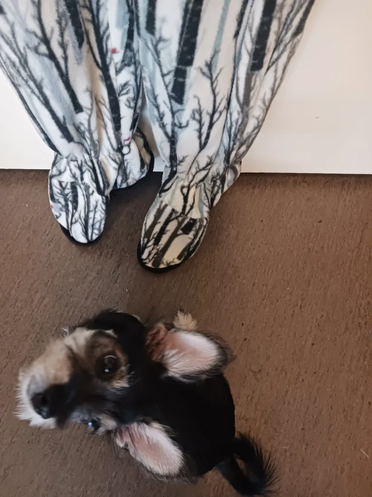 Footie Factory Onesie - Tree Print image indicator(5)