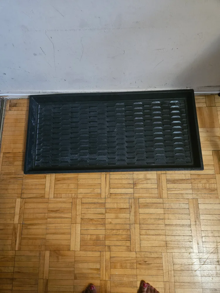 Black Boot Tray thumbnail