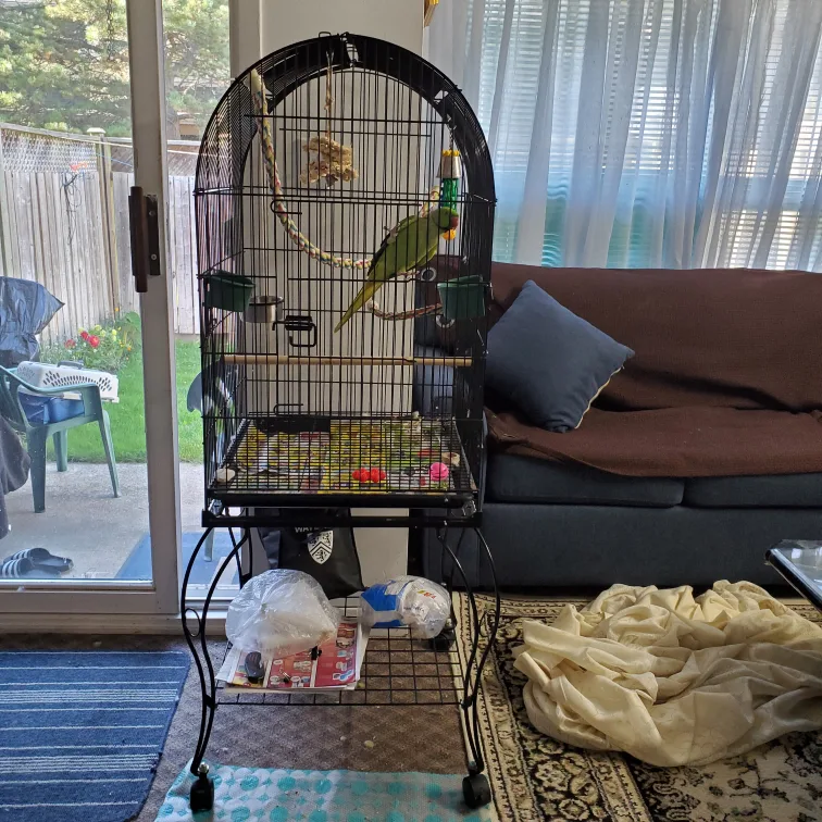 Bird Cage with Stand & Accessories thumbnail
