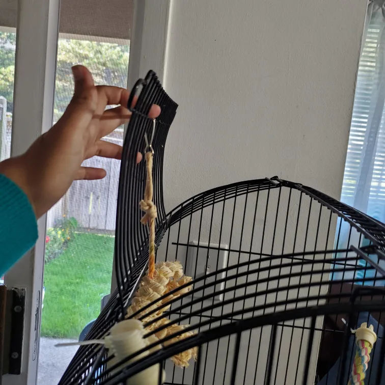 Bird Cage with Stand & Accessories image indicator(4)