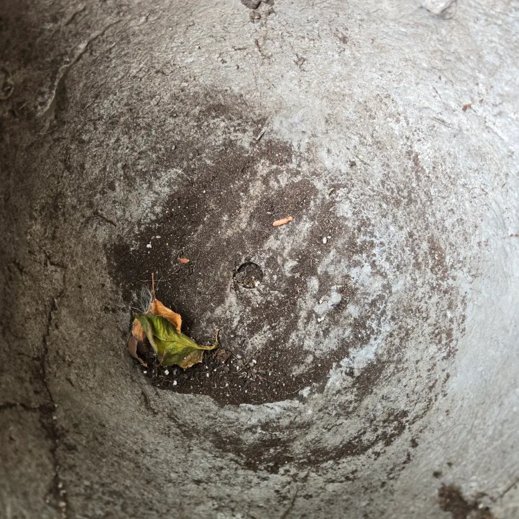 Sand Textured Garden Pot - 12 x 12 inches image indicator(4)