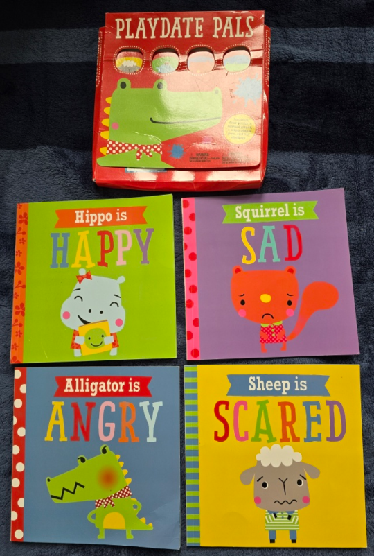 Factivity & Playdate Pals Book Sets - photo 3