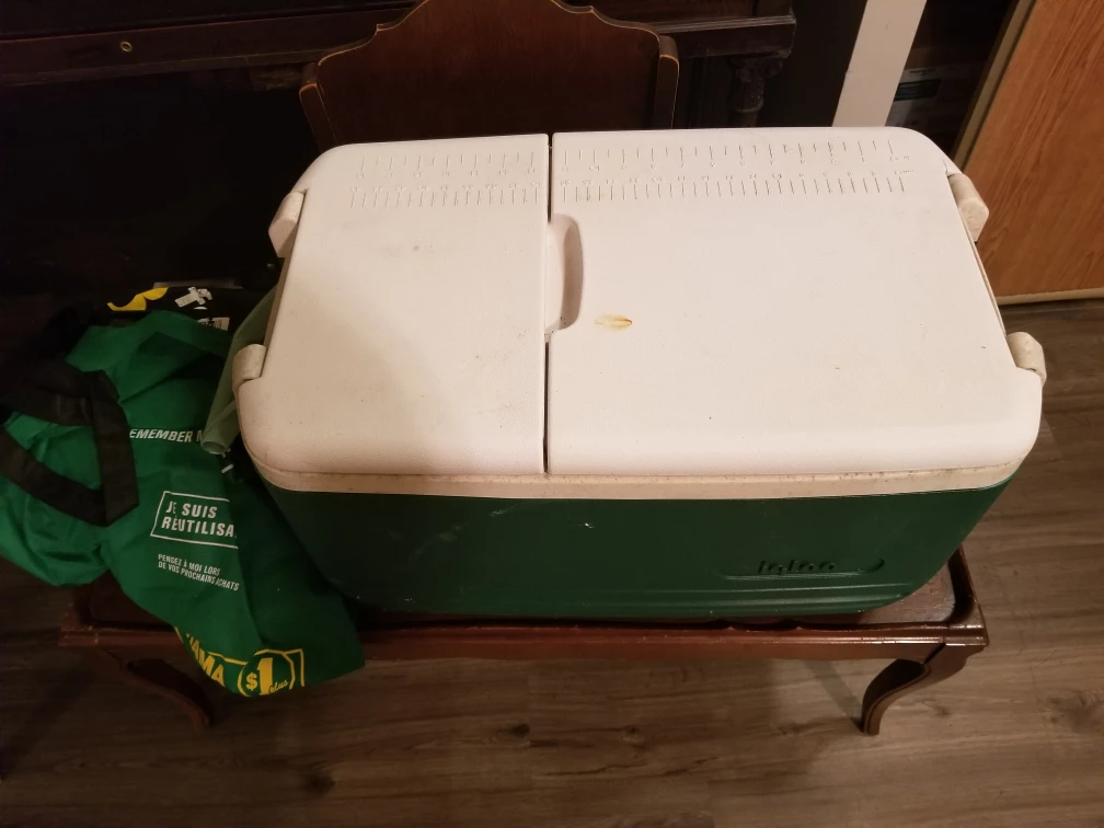 Igloo Cooler - Green & White - photo 3