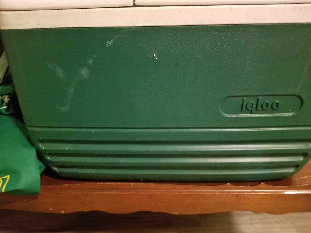 Igloo Cooler - Green & White - photo 4