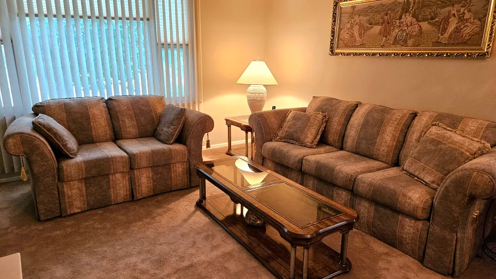 Two-piece Sofa Set / Couch Set thumbnail