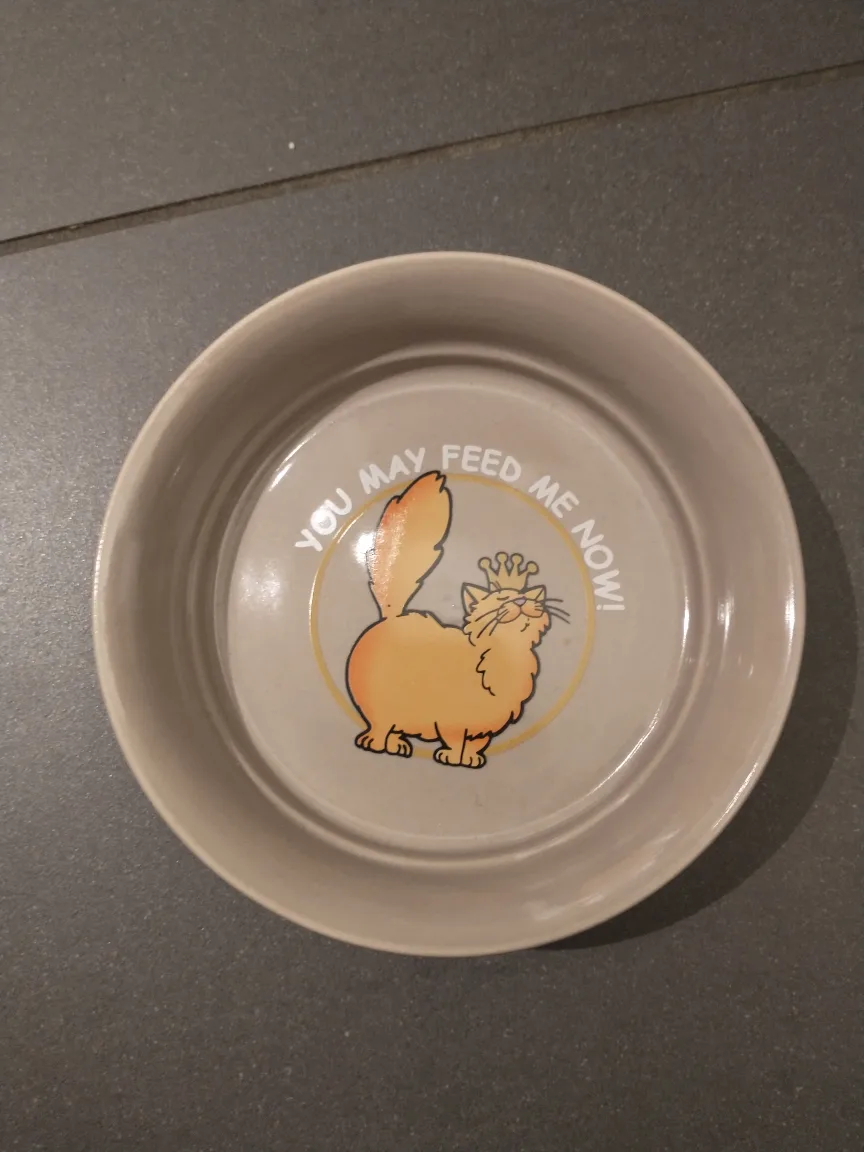 Cat food dish thumbnail