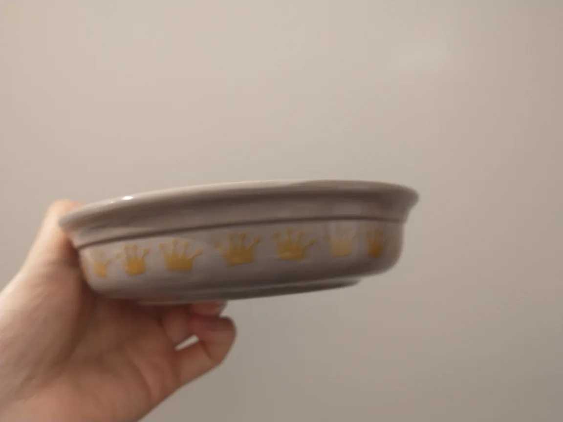 Cat food dish image indicator(3)