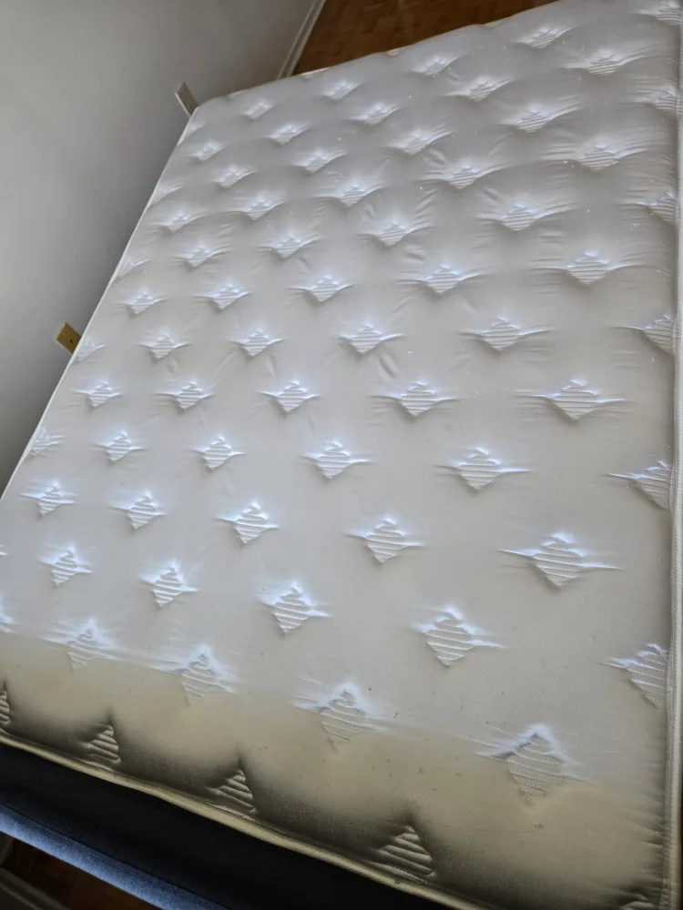 Zinus Spa Sensations Queen Mattress image indicator(3)