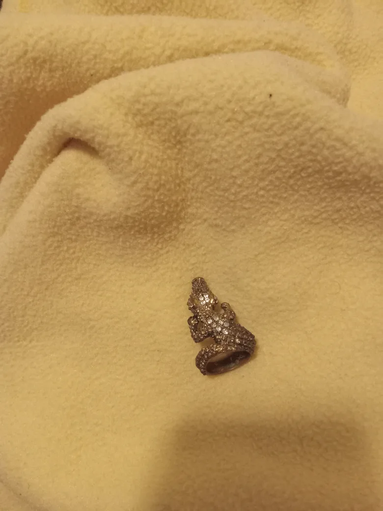 🐊 alligator ring image indicator(2)