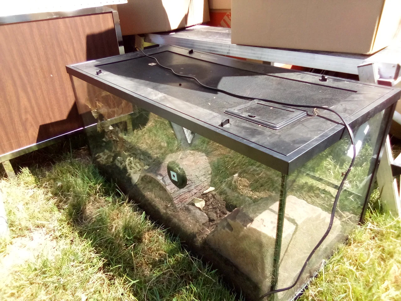 Glass Terrarium thumbnail
