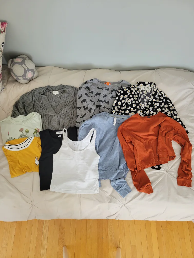 Tops: Aritzia, Gentle Fawn, F21, etc. thumbnail
