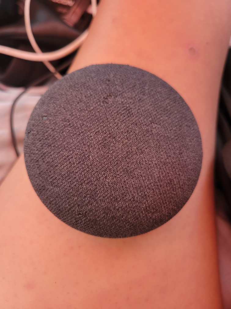 Google home mini