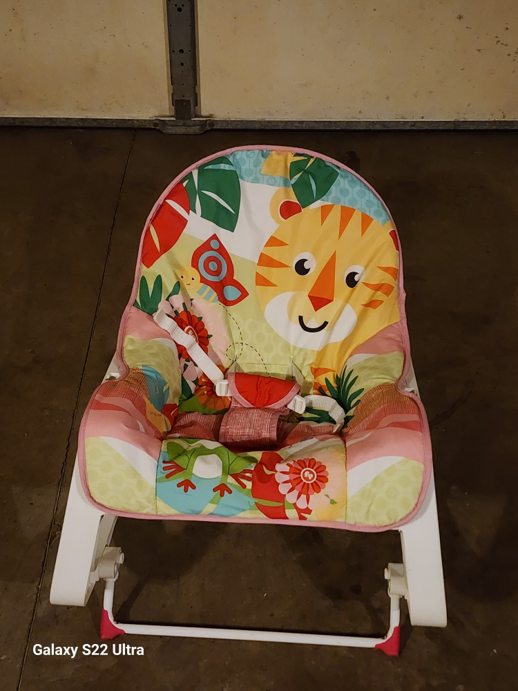 Fisher-Price Infant-To-Toddler Rocker - photo 5