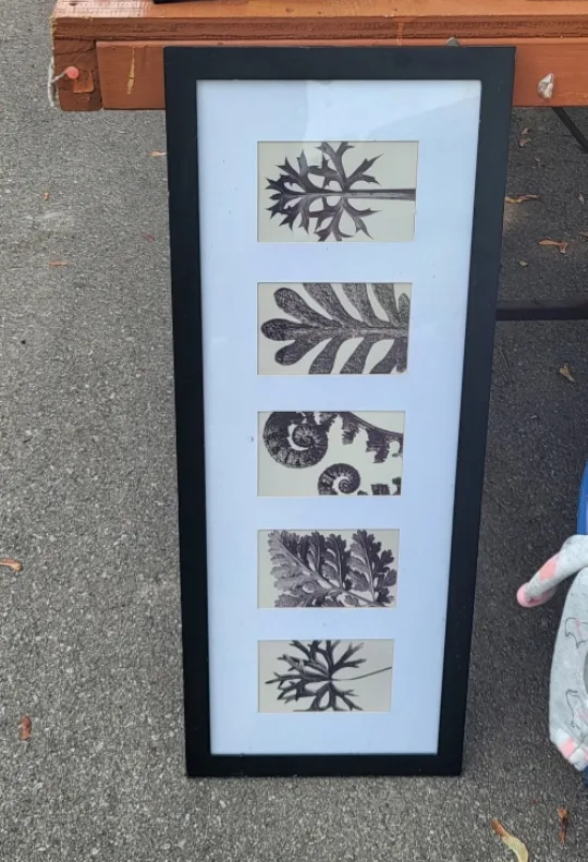 Framed Botanical Print Wall Art thumbnail