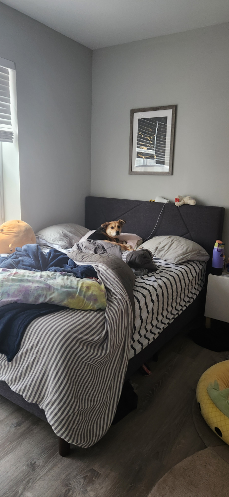 Queen Size Bed Frame with Headboard