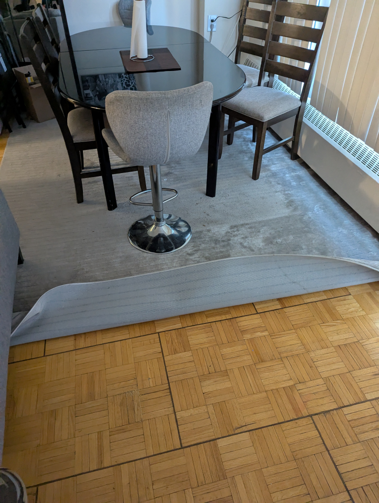 Area Rug - Grey (Carpet)