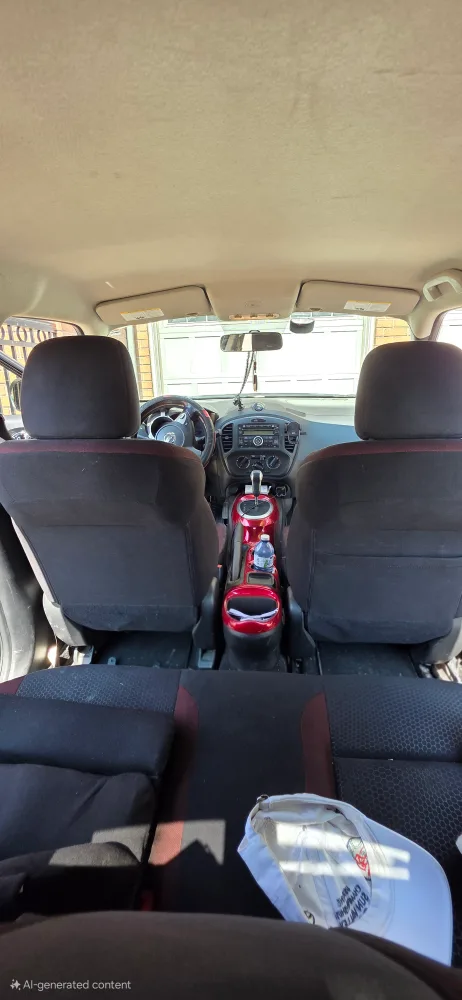 Nissan Juke 2011 image indicator(8)