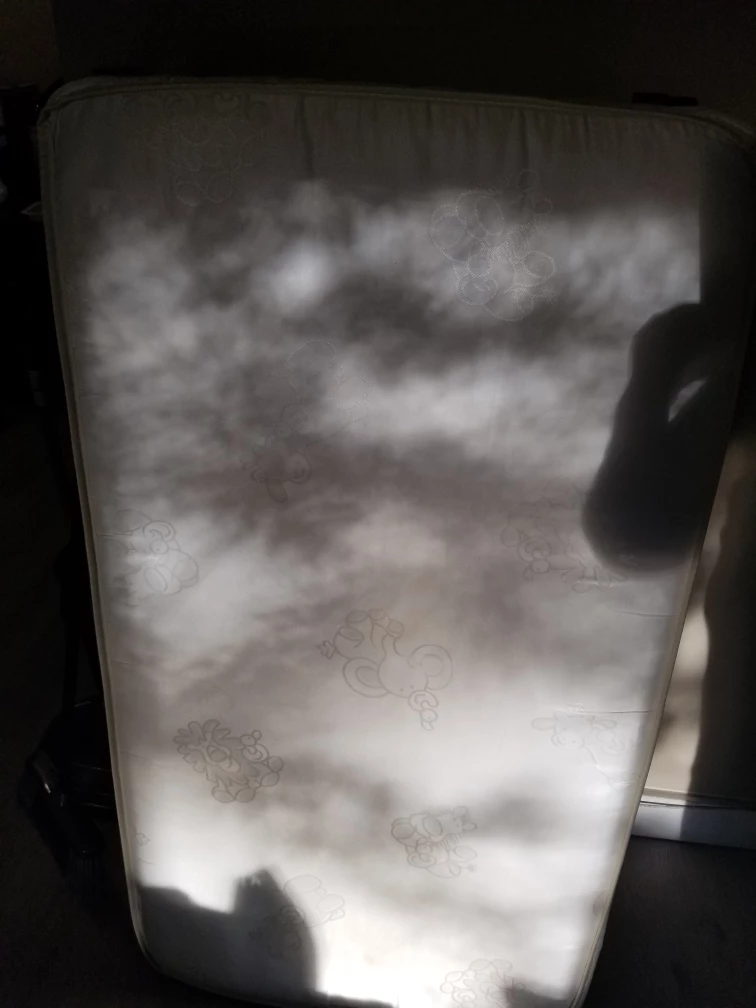 Free  Crib with Mattress - photo 3