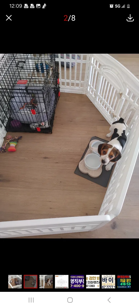 Dog Playpen with Crate image indicator(2)