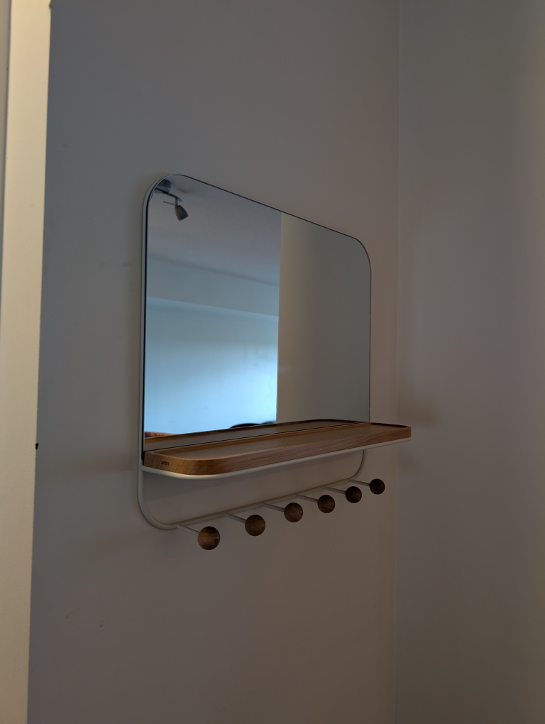 Umbra Estique Mirror with Hooks