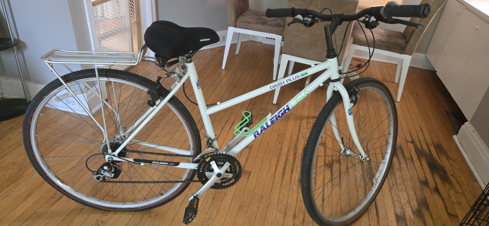 Raleigh Dash Plus Bike 24 "