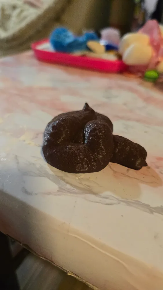 🧡 3D Printed Poop Prank thumbnail