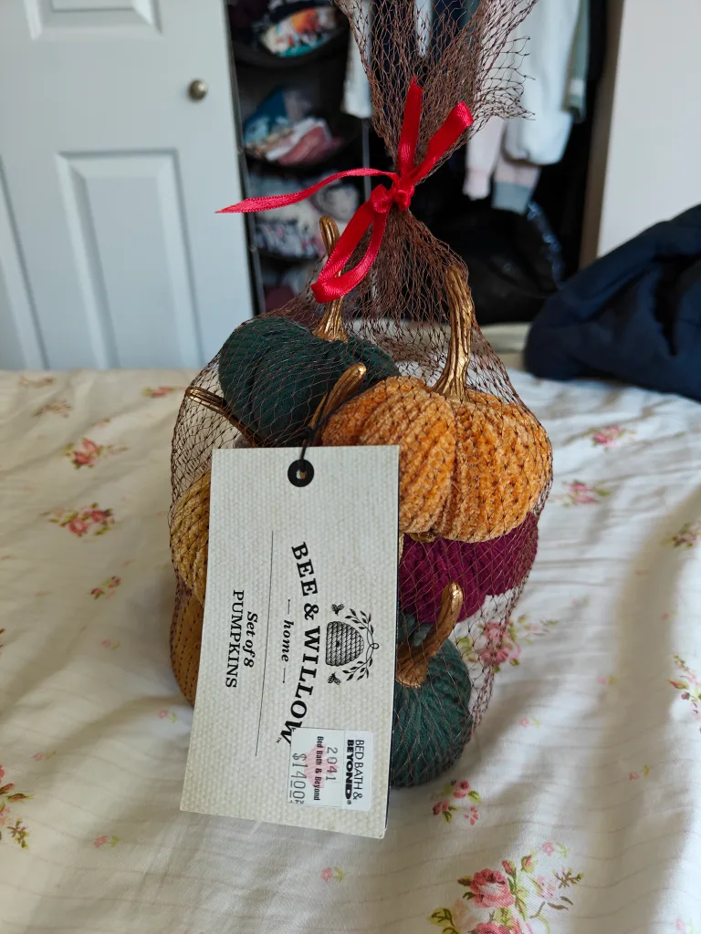 Bee & Willow Set of 7 Mini Pumpkins 💖🧡 image indicator(4)