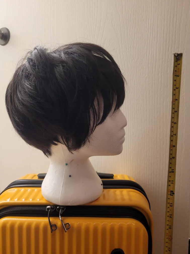 Short Black Wig image indicator(2)